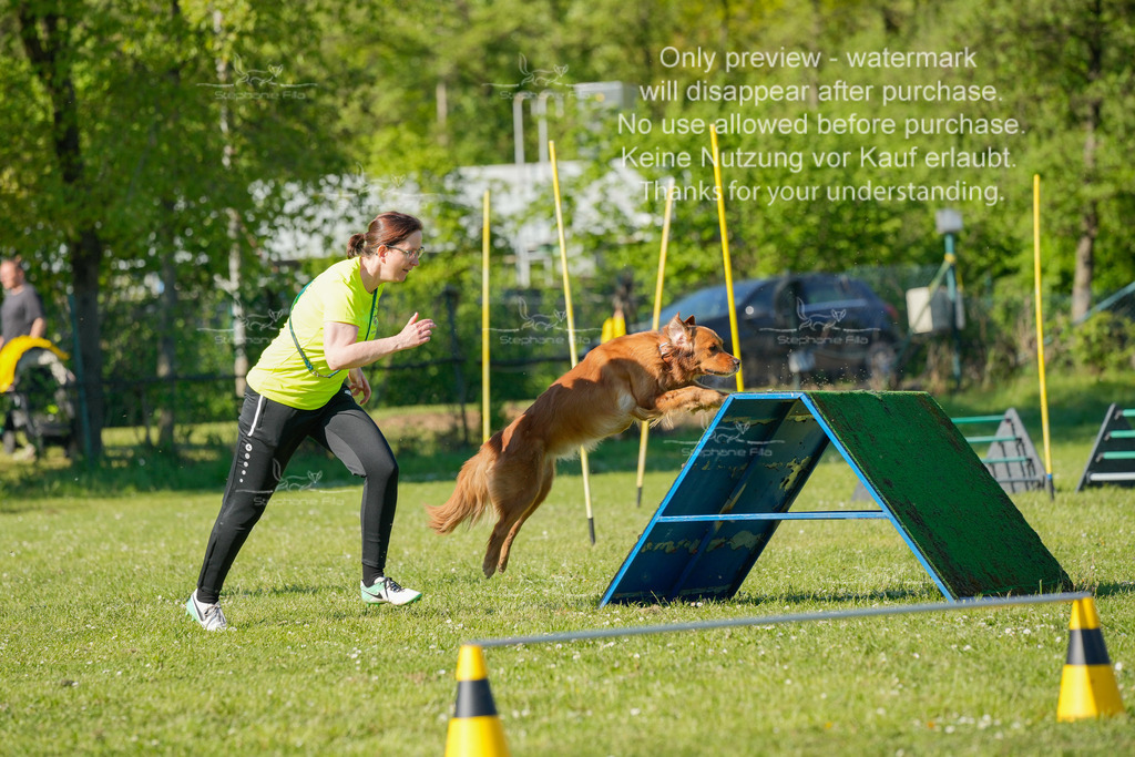 Sa_CSC-481 | stephaniefillaphotographie - Realisiert mit Pictrs.com