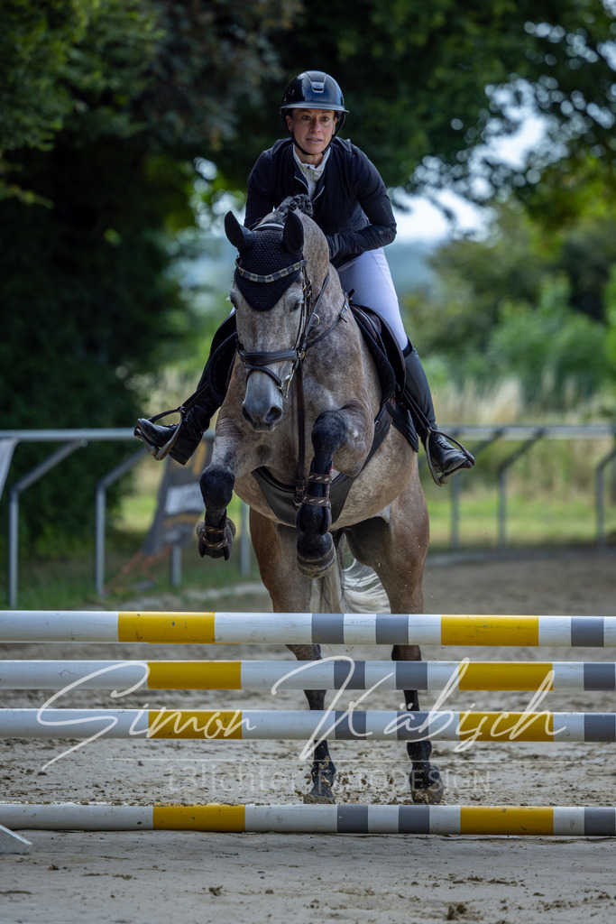 20260704-_3LI6562 | Tierfotografie Pferde, Hunde, Katzen, Haustiere.
Turnierfotografie Reitturniere, Reiten, Springreiten, Dressur in Hanau, dem Main-Kinzig-Kreis und dem Rhein-Main- Gebiet um Frankfurt