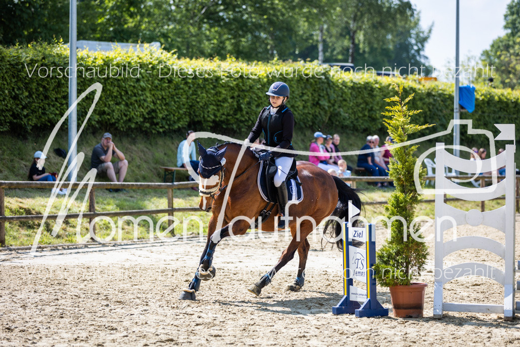 Donop24-SprRW-029 | MomenTaufnahmen Pferdesportfotos