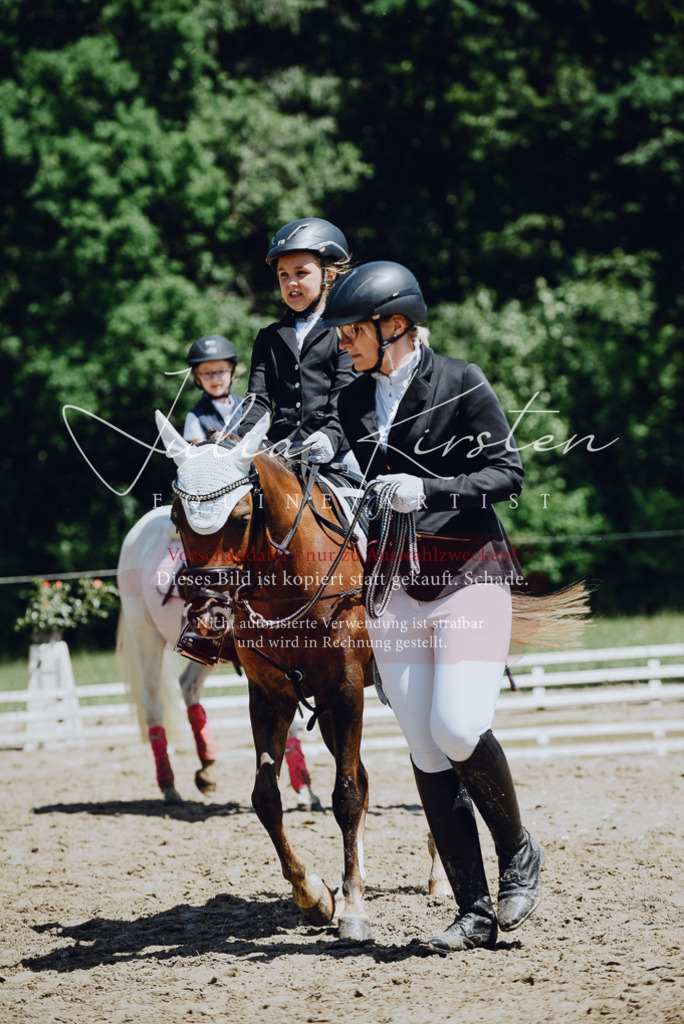 DSC_2587 | Pferde- und Turnierfotografie in Westsachsen. Pferdeportraits, Auftragszeichnungen und intuitive Kunst.