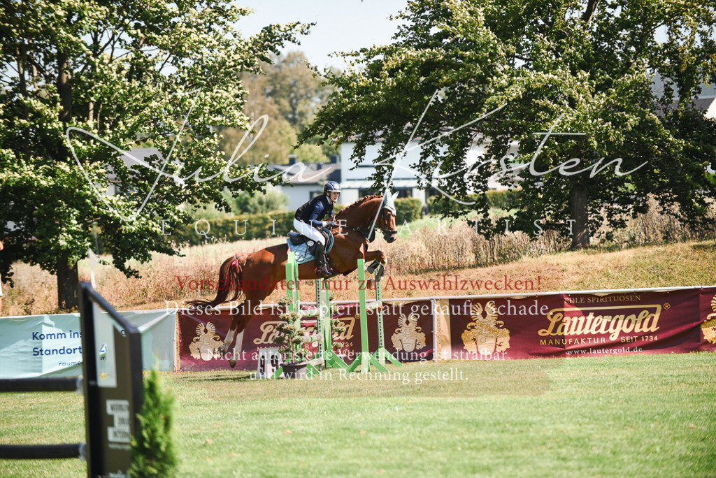 DSC_2852 | Pferde- und Turnierfotografie in Westsachsen. Pferdeportraits, Auftragszeichnungen und intuitive Kunst.
