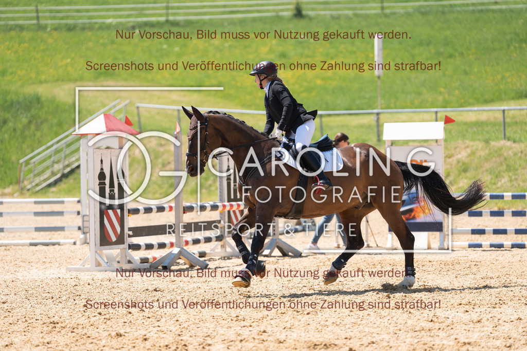 DSC04501 | Springturnier_Ehingen_Mai_2026, Sinah_Rösch, Don_Carinio_Rösch, Don_Carinio_Rösch, Don_Carinio
