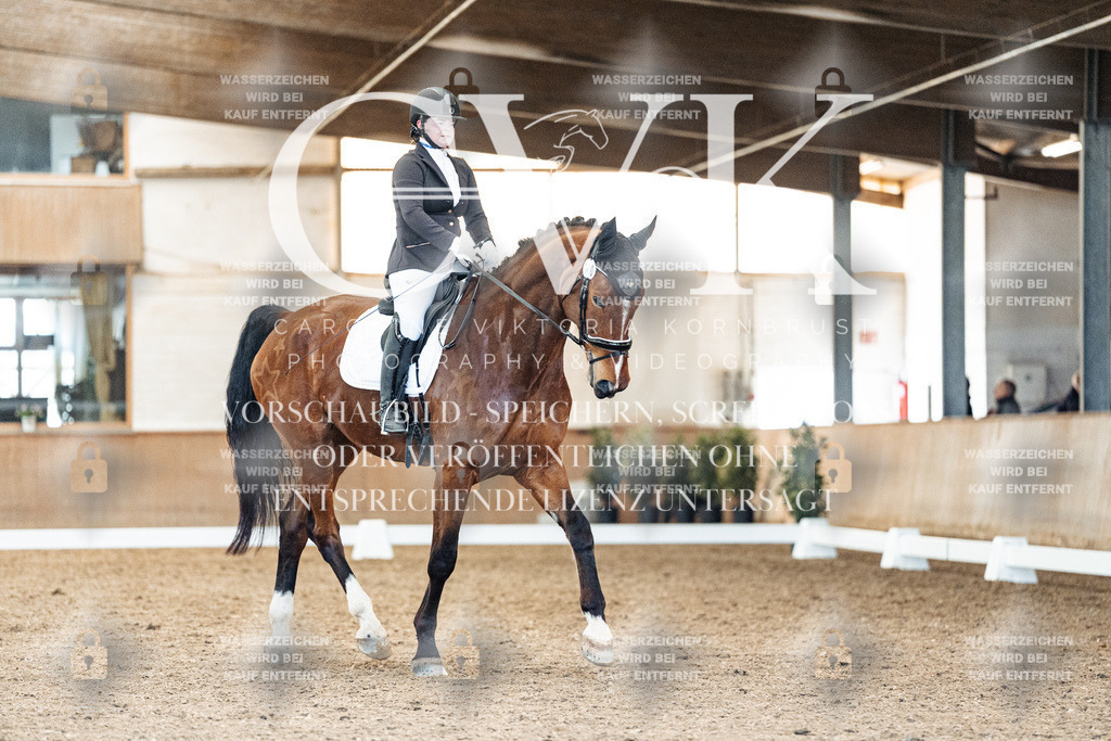 CK909125 | Turnierfotografie Pferdefotografie Trier Rheinland-Pfalz Pferdesport Reitsport Tierfotografie Sportfotografie Pferdevideo Pferdevideografie Equestrianvideography equestrianphotography  - Realisiert mit Pictrs.com