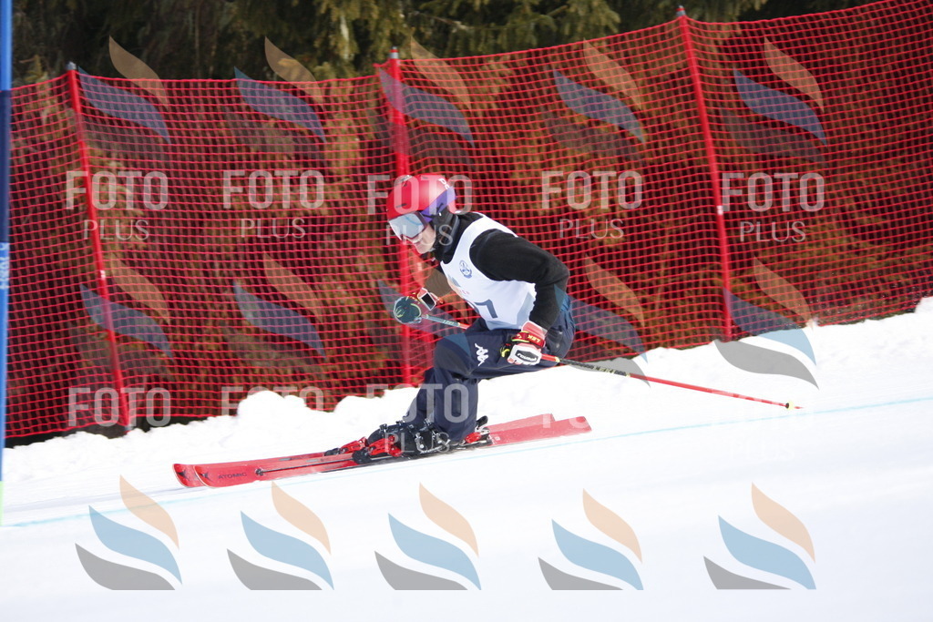 D7996 | holidayphoto