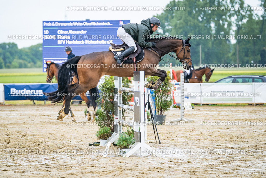 DSC03703 | Pferdegrafie