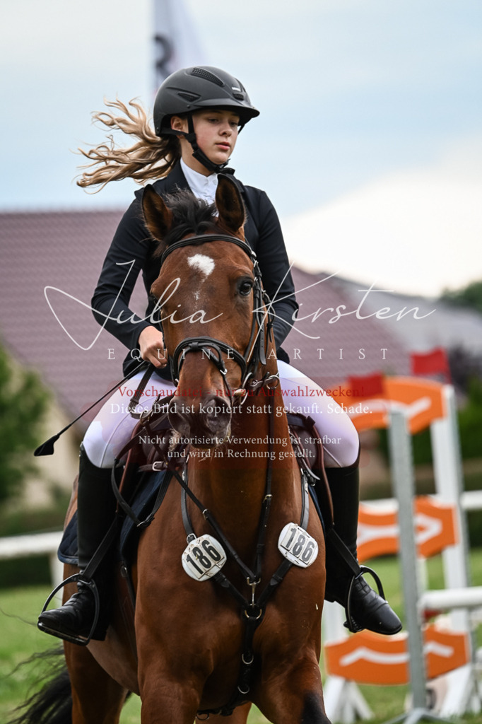 DSC_8496 | Pferde- und Turnierfotografie in Westsachsen. Pferdeportraits, Auftragszeichnungen und intuitive Kunst.