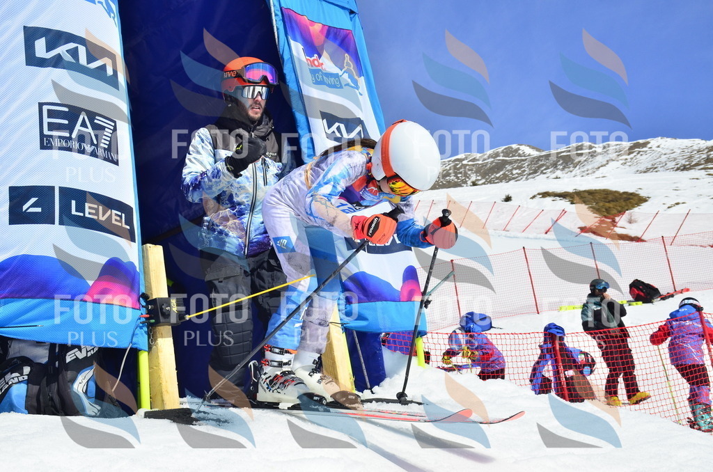 _ELE0775 | holidayphoto