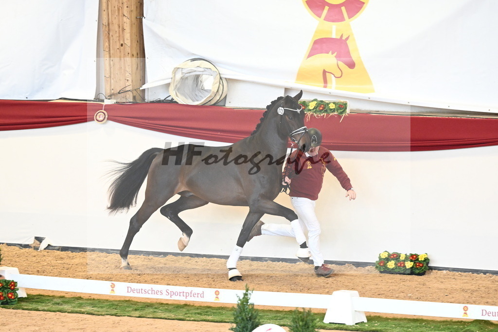 Kat.-Nr. 72 v. Va Bene_Bergmann_2240696 | hf-fotografie - Realisiert mit Pictrs.com