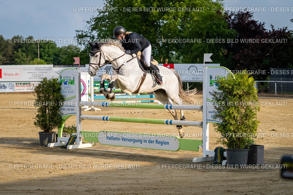 DSC02002 | Pferdegrafie