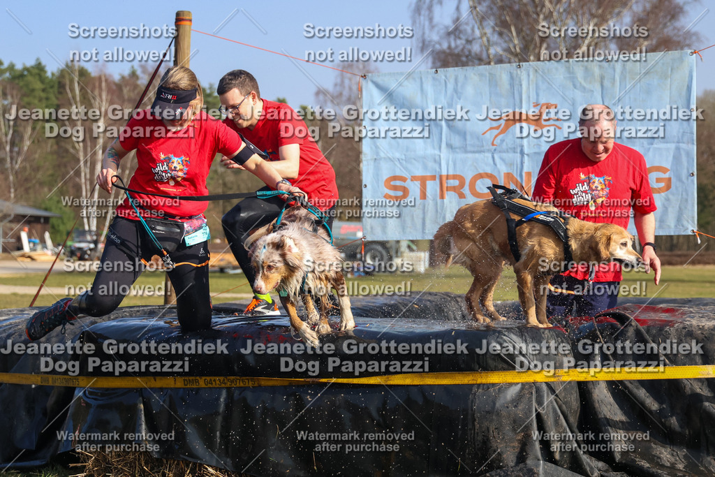 Dog Paparazzi - Strongdog North Mrz26-2603 | Dog Paparazzi Jeanette Grottendiek Fotografie & Videografie - Realisiert mit Pictrs.com