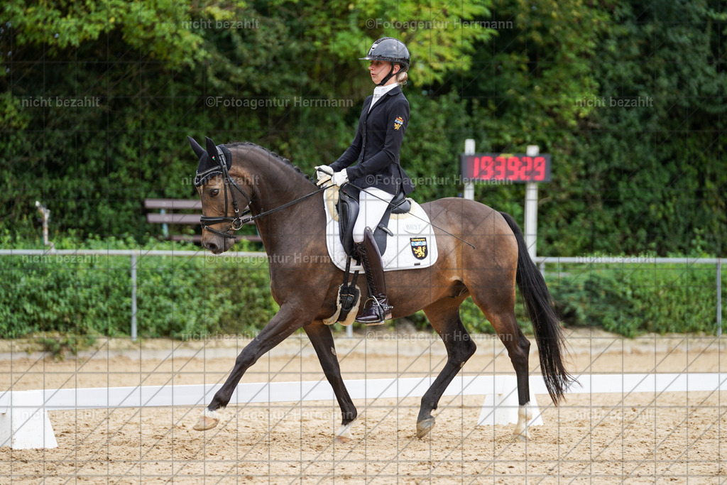 20240825-FAH09996 | Turnierbilder, Reitsportfotos, LAPO, Landesponyturnier, Turnierfotografen Bayern