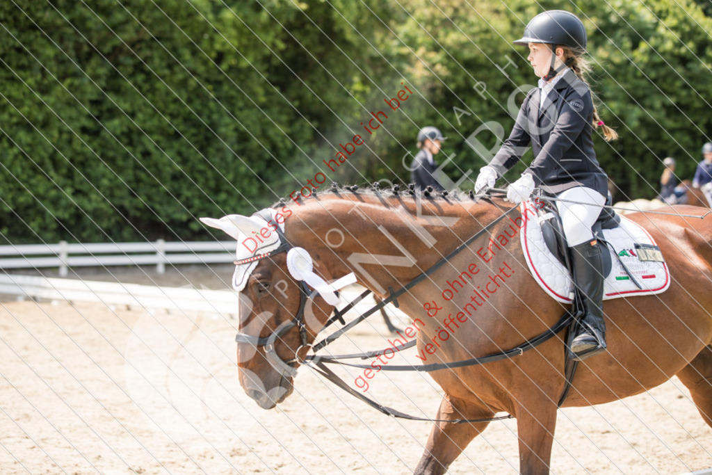 IMG_3719 | Sport-, Event- und Tierfotos in Profiqualität. Einfach auswählen, bestellen und herunterladen. Dein Moment – perfekt festgehalten.