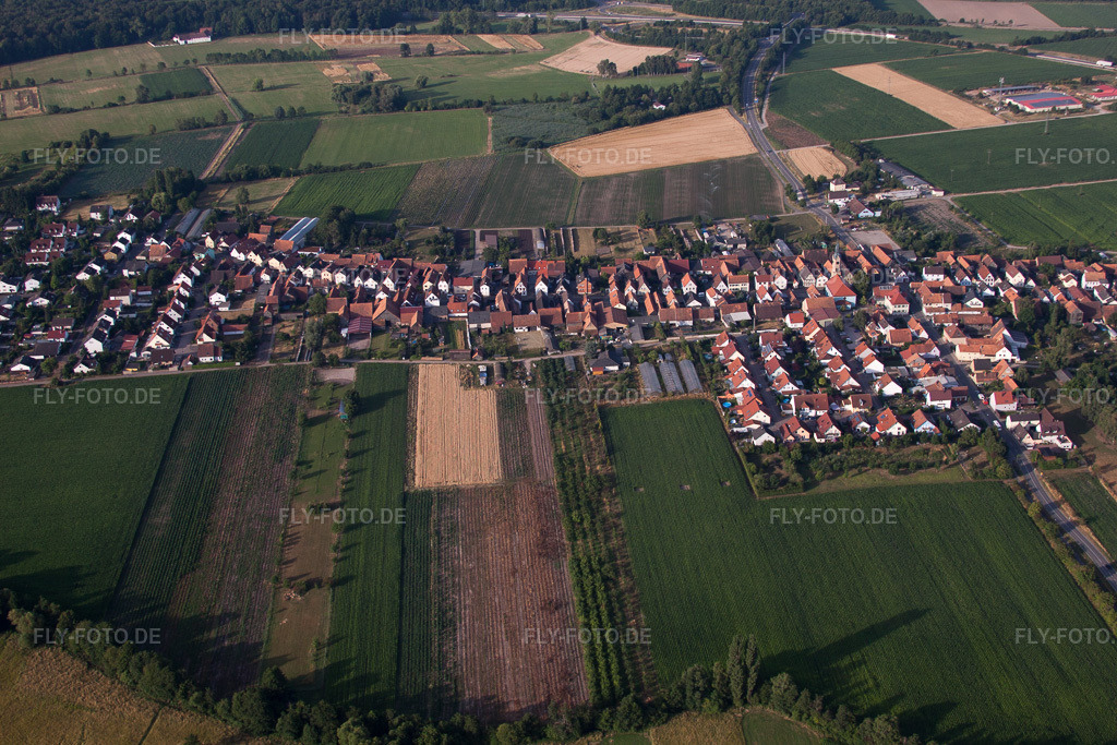 Luftbild: Ortsansicht von Norden in Erlenbach bei Kandel im Bundesland Rheinland-Pfalz in Deutschland. Foto: IMG_69758.jpg vom 04.07.2014 durch Werner Riehm/FLY-FOTO.de