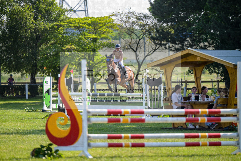 Reitturnier Voxtrup | Entdecke hochwertige Reitturnierfotos von Foto Oger. Professionell, emotional und authentisch – jetzt Lieblingsmomente im Shop bestellen. - Realisiert mit Pictrs.com