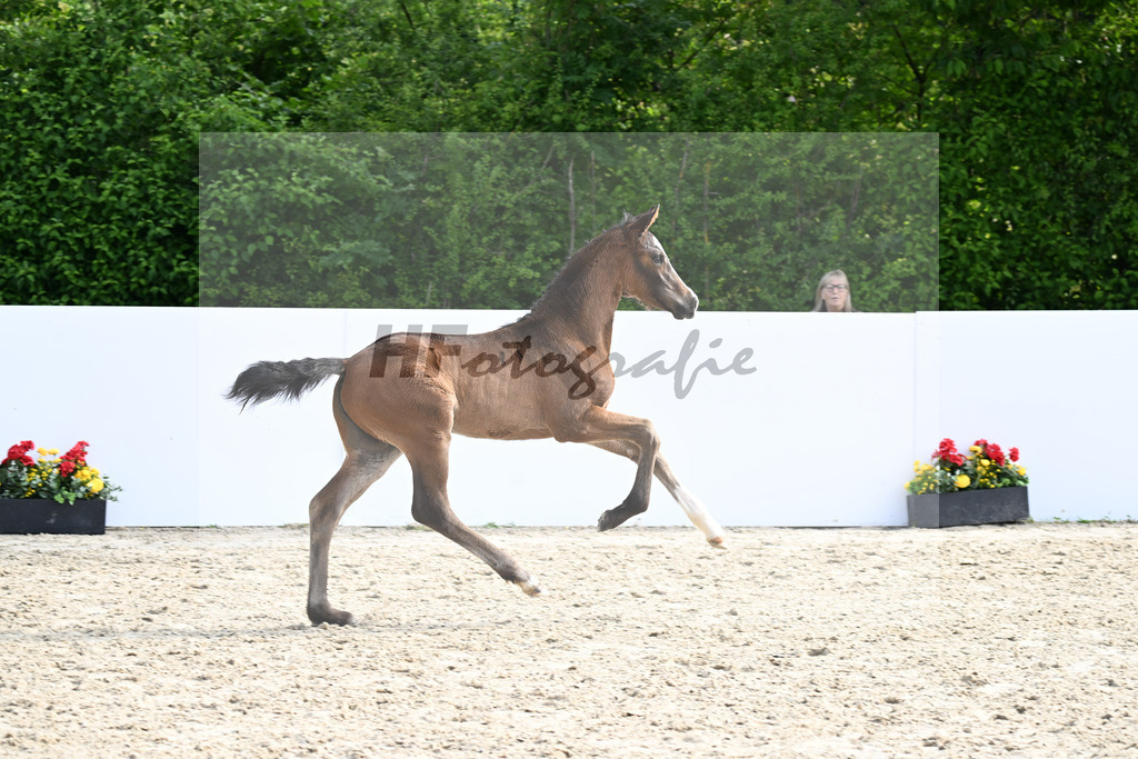 Bon Esprit x Wolkenstein II_SF_Staudenmayer_13250286 | hf-fotografie - Realizzato con Pictrs.com