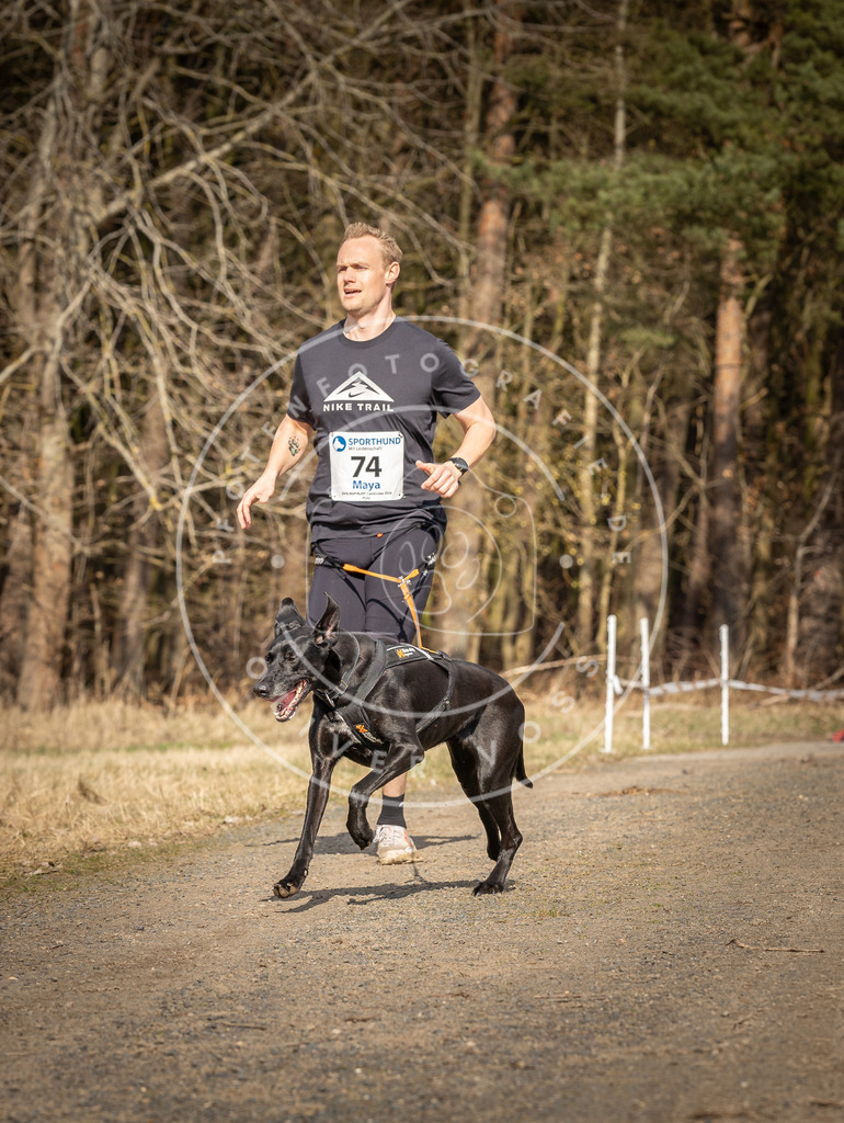 DV3A5665 | Hundefotografie, Tierfotograf, Pfotenfotografie, Fotoshooting Hund, Hunde Portrait, Hundesport, Hundeportraits, Heideshooting, Hunde, Sportfotograf, Hundefotograf, Turnierhundsport, THS,  - Realisiert mit Pictrs.com