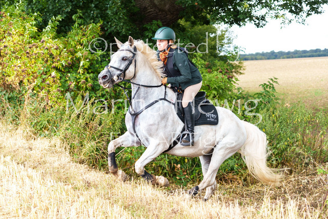 Jagd Knoop 26_MarinaHewigMCH02509 | Fotografie, FotoArt, PferdesportArt, Pferdesportfotografie, Landschaftsfotografie, Reisefotografie, Reise, Pferde - Realisiert mit Pictrs.com