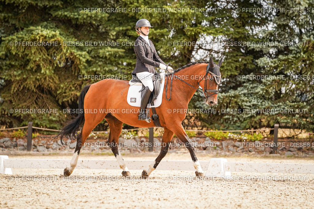 DSC01864 | Pferdegrafie