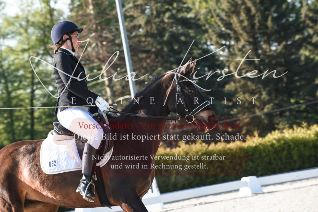 20230518_JK-Röhrsdorf-09-0089 | Pferde- und Turnierfotografie in Westsachsen. Pferdeportraits, Auftragszeichnungen und intuitive Kunst.