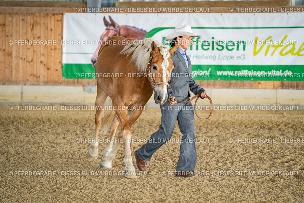 DSC07573 | Pferdegrafie