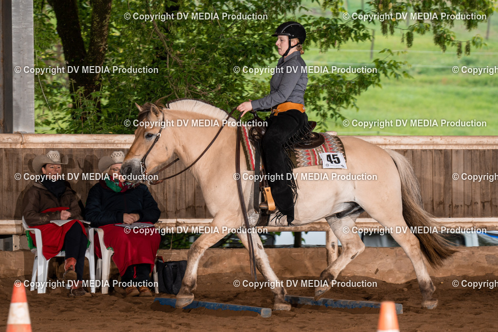 Erbach Tag 3-111 | dv-media-shop - Realisiert mit Pictrs.com