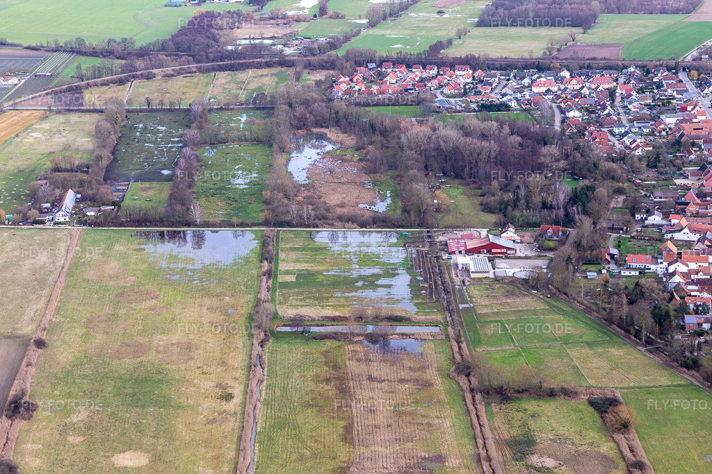 Luftbild: Überfluteter Flutgraben/Erlenbach an der Waschmühle in Billigheim-Ingenheim im Bundesland Rheinland-Pfalz in Deutschland. Foto: IMG_124172.jpg vom 04.02.2021 durch Werner Riehm/FLY-FOTO.de