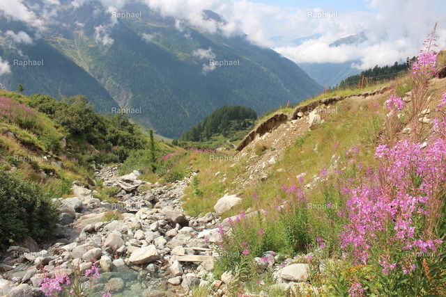 IMG_2310 | Raphael - Realisiert mit Pictrs.com