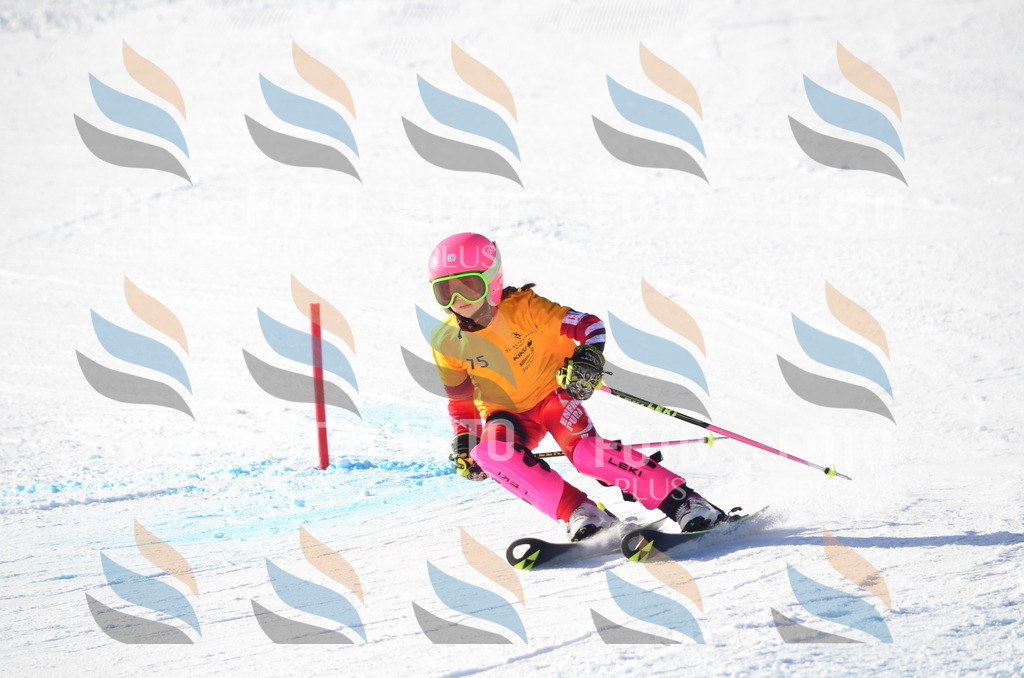 C5924 | holidayphoto