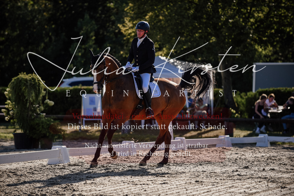 DSC_0610 | Pferde- und Turnierfotografie in Westsachsen. Pferdeportraits, Auftragszeichnungen und intuitive Kunst.