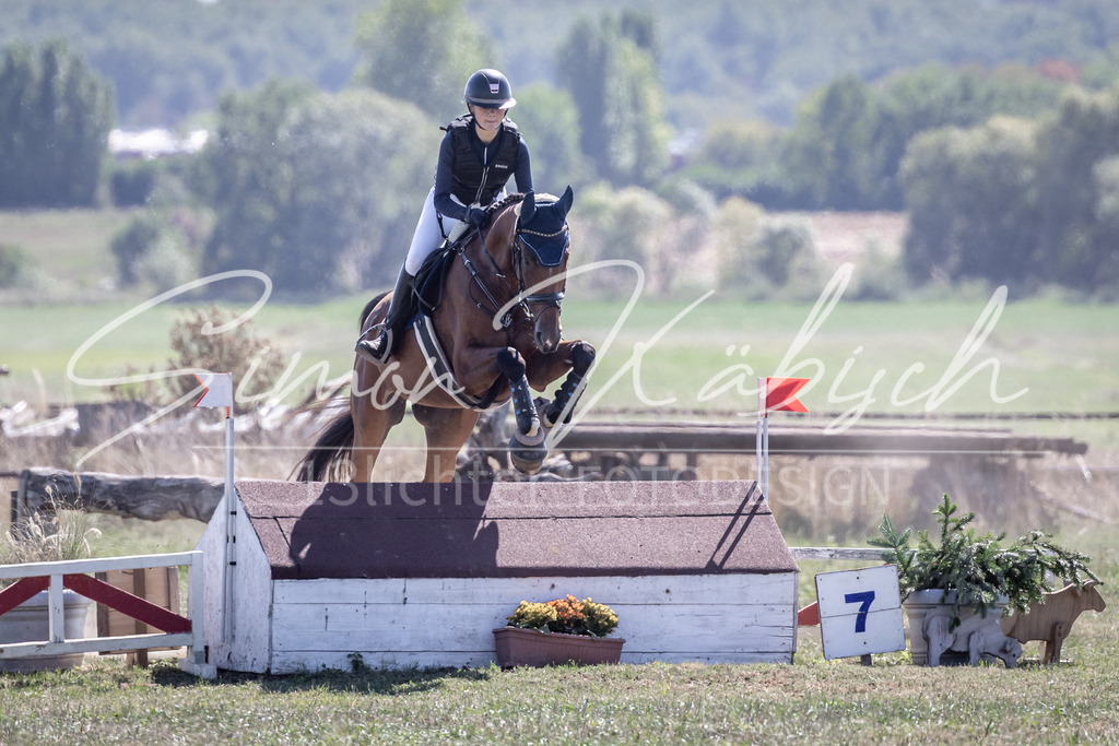20260906-_3LI3853 | Tierfotografie Pferde, Hunde, Katzen, Haustiere.
Turnierfotografie Reitturniere, Reiten, Springreiten, Dressur in Hanau, dem Main-Kinzig-Kreis und dem Rhein-Main- Gebiet um Frankfurt
