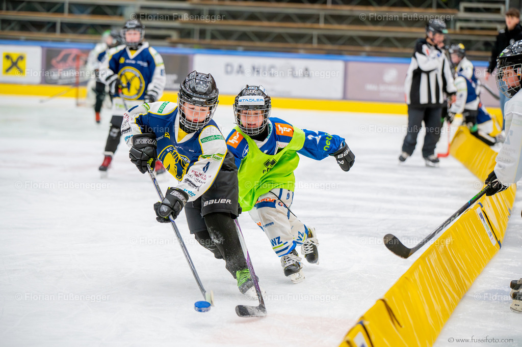 DSC_9213 | "Fussifoto.com – Ihr Ansprechpartner für hochwertige Fotografie! Entdecken Sie kreative Bilder und professionelle Dienstleistungen. Kontaktieren Sie uns für Ihre Projekte!"