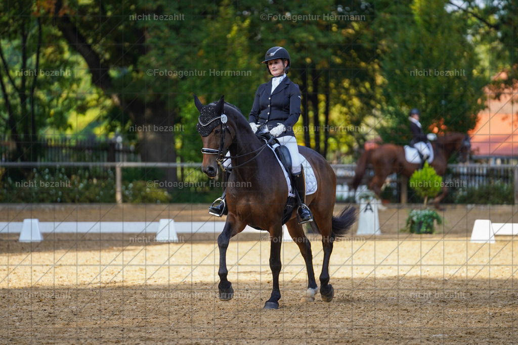 20221007-FAH00099 | Diessen am Ammersee, 2022, Dressur- und Springturnier, Reitsportbilder, Turnierfotografen Bayern, Pferdefotografen, Fotoagentur Herrmann, Turnierbilder