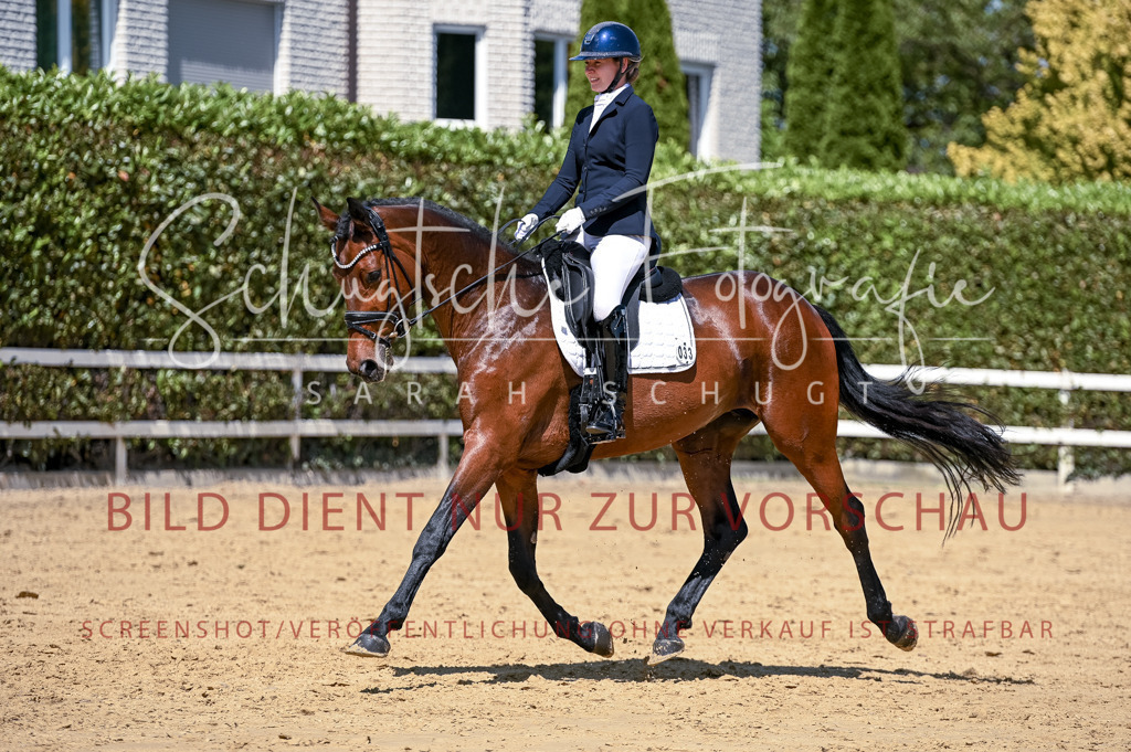 Schugtsche-Aluta25-49.Dressurpferdeprf.A-329 | Schugtsche Fotografie - Realisiert mit Pictrs.com