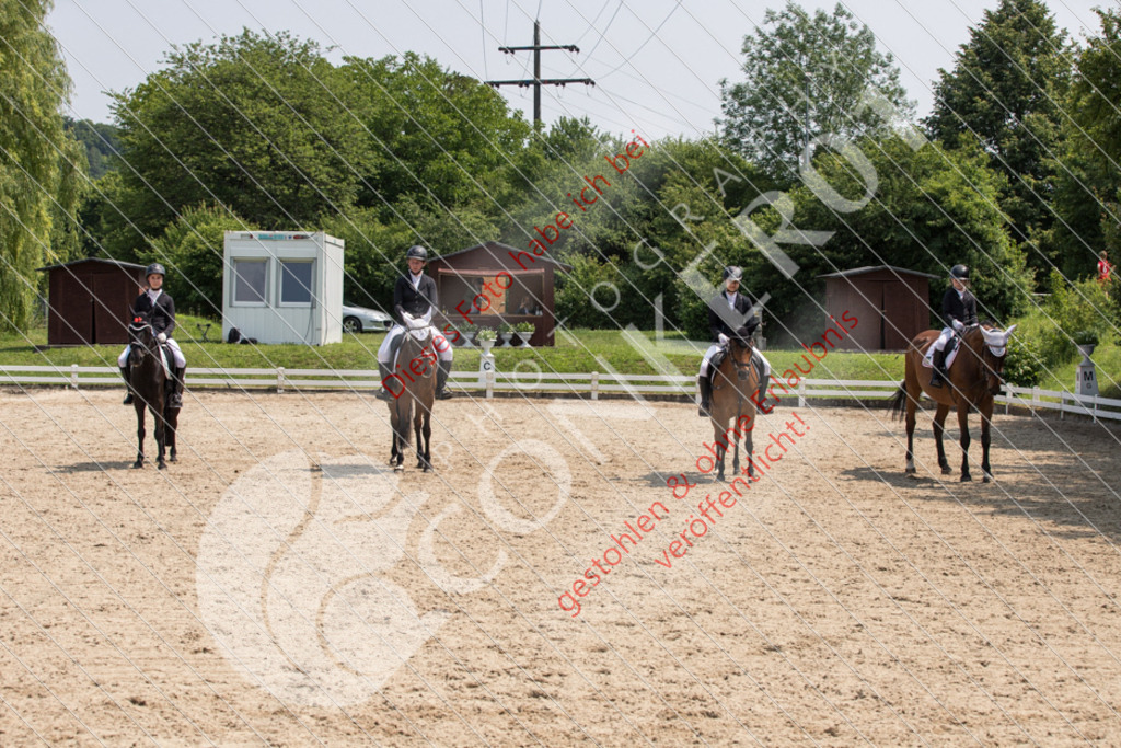 IMG_3686 | Sport-, Event- und Tierfotos in Profiqualität. Einfach auswählen, bestellen und herunterladen. Dein Moment – perfekt festgehalten.