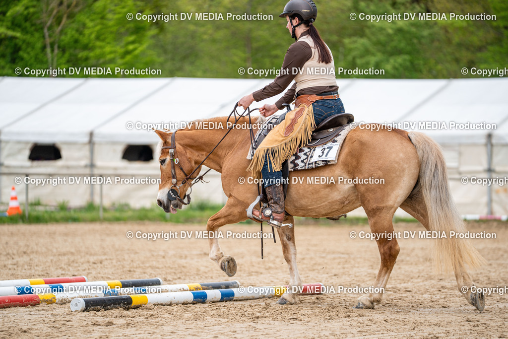 Heiligenwald Tag 1-1045 | dv-media-shop - Realisiert mit Pictrs.com