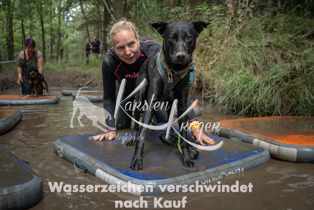 1251_ZZ91189 | kk-dogfotos