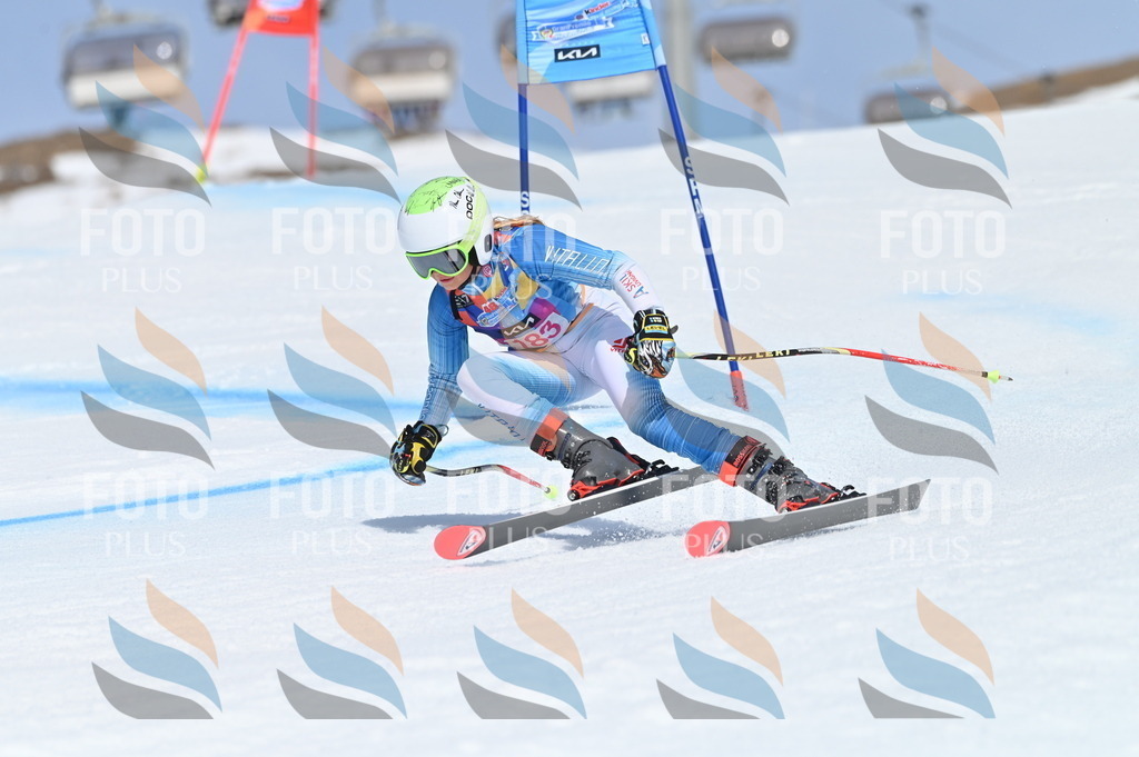 BGV_0677 | holidayphoto