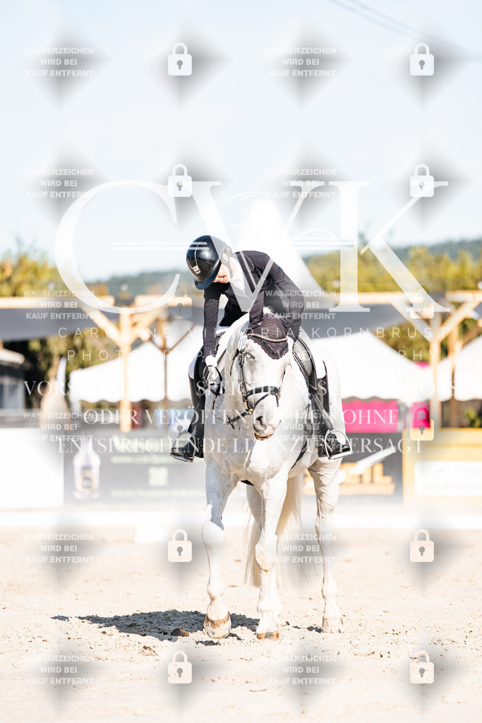 CK907617 | Turnierfotografie Pferdefotografie Trier Rheinland-Pfalz Pferdesport Reitsport Tierfotografie Sportfotografie Pferdevideo Pferdevideografie Equestrianvideography equestrianphotography  - Realisiert mit Pictrs.com