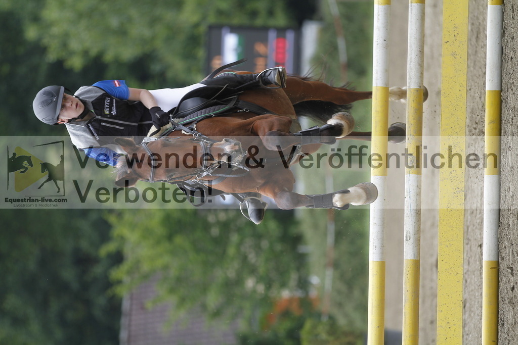 _MG_3786 | equestrian-live-com