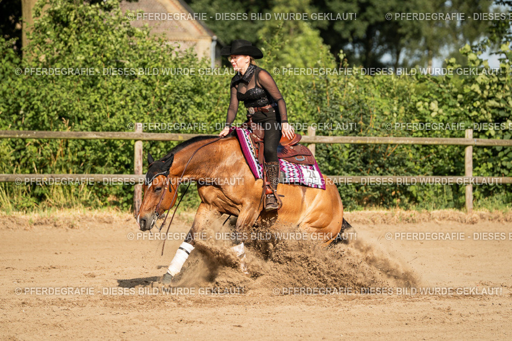 DSC05427 | Pferdegrafie