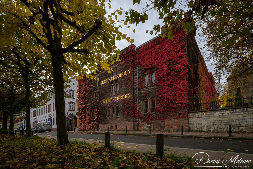 _DSC4386 | Fotografien, Fotos und Bilder aus Mainz, Frankfurt, Wiesbaden und anderen Orten auf der Welt - Fotografiert von Darius Metzner