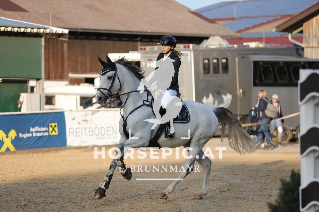 0P6A4318 | Willkommen bei Brunnmayr - Design & Fotografie – Ihrem Spezialisten für Reitturniere und Pferdeveranstaltungen in Oberösterreich, Salzburg und Bayern! Seit über 17 Jahren sind wir leidenschaftlich dabei.