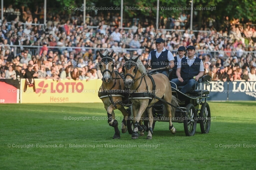 20230526_Pferdenacht_0176 | equistock