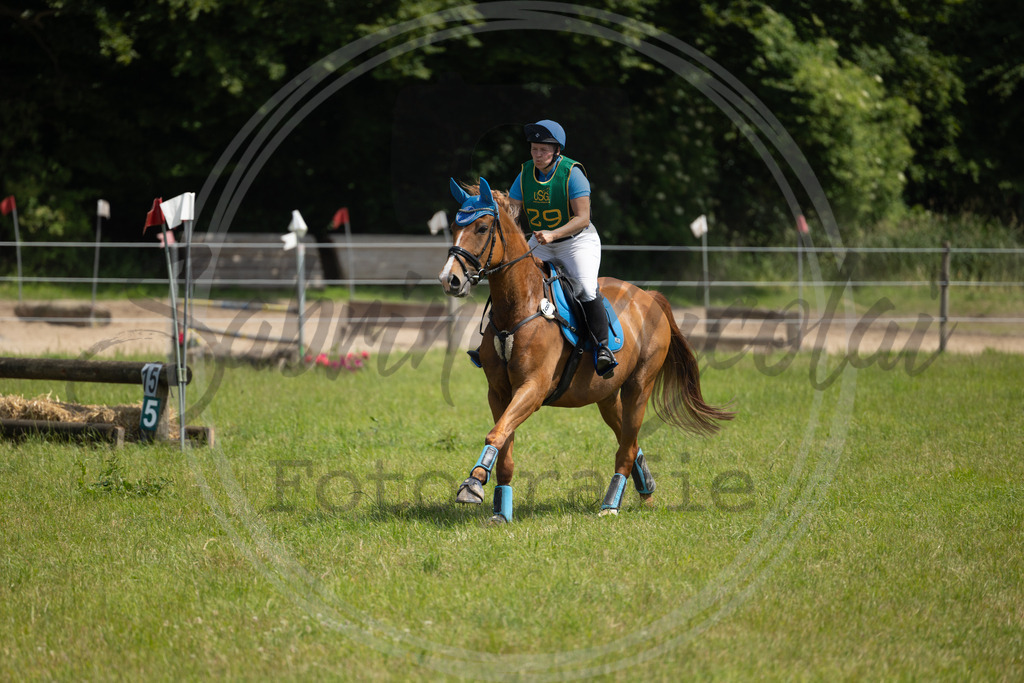 994A0963 | sabrinanicolaifotografie - Realisiert mit Pictrs.com