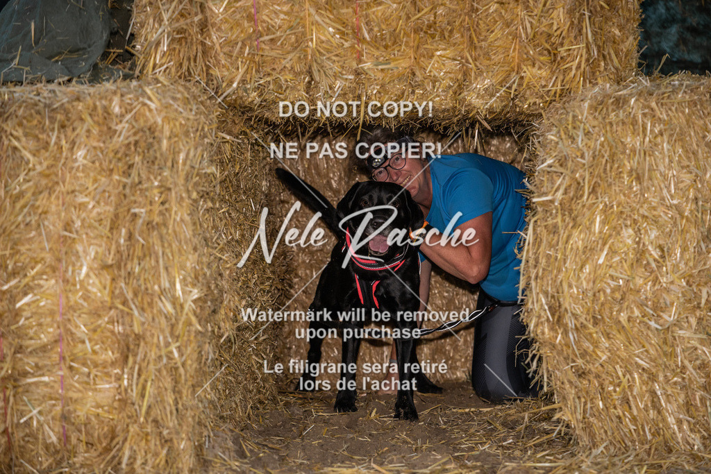 nelerasche_FrNacht_154 | nelerasche