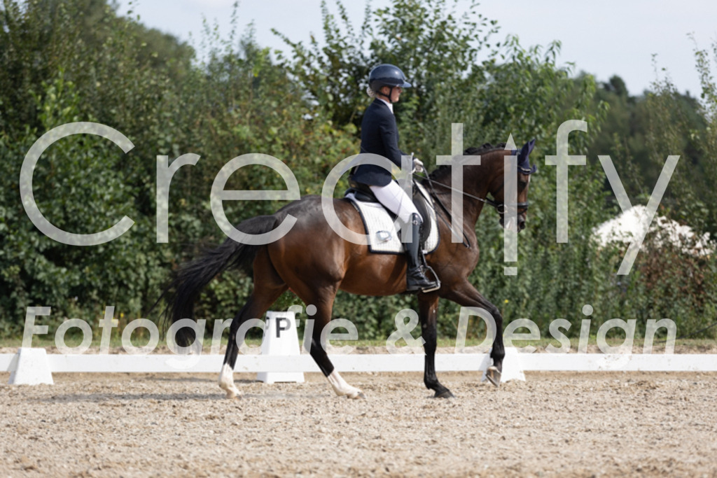 IMG_4101 | Creatify Fotografie