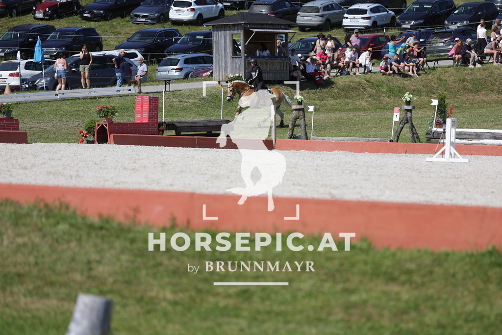 0P6A6139 | Willkommen bei Brunnmayr - Design & Fotografie – Ihrem Spezialisten für Reitturniere und Pferdeveranstaltungen in Oberösterreich, Salzburg und Bayern! Seit über 17 Jahren sind wir leidenschaftlich dabei.