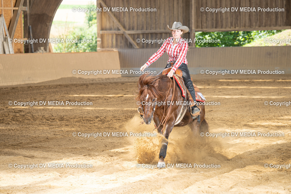 DSC00082 | dv-media-shop - Realisiert mit Pictrs.com