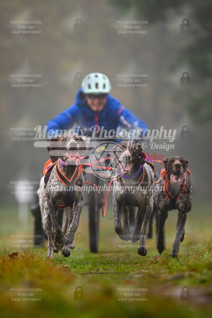 MompixPhotography_Bischwiller2025_Kart-11 | mompixphotography