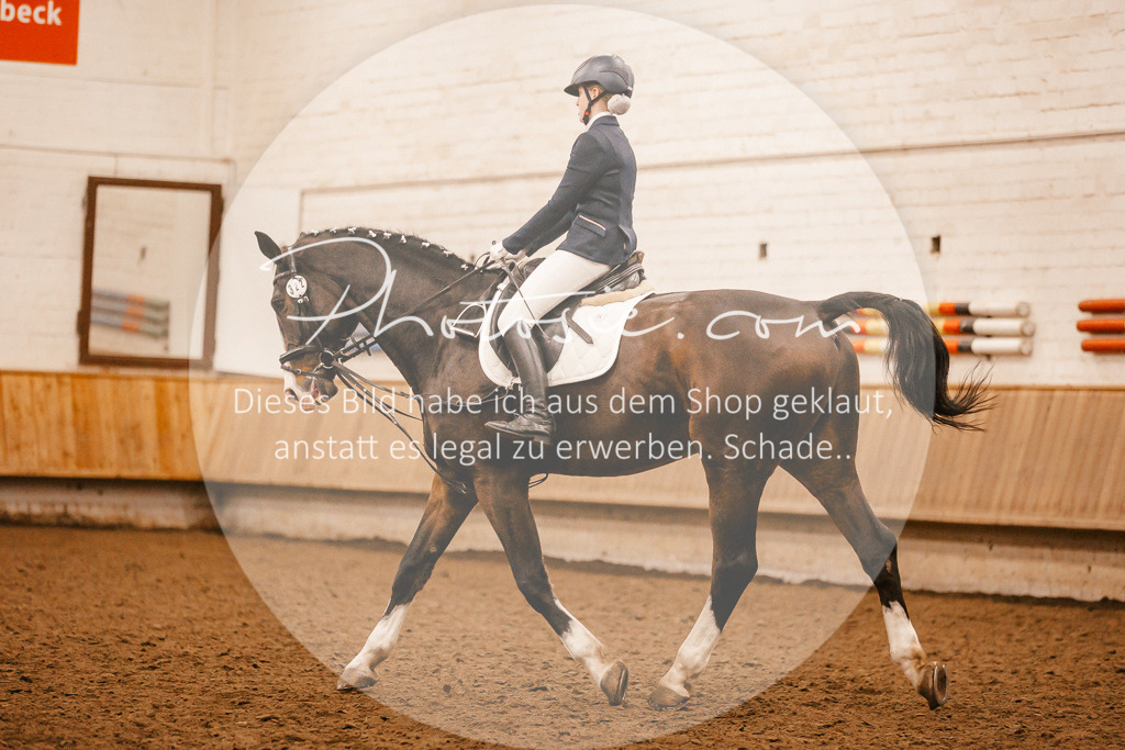 3I6A6422 | Stimmungsvolle Portraits und Reitsportfotografie im Ruhrgebiet und im Münsterland.

Pferdefotografie, Hundefotografie, Tierfotografie, Reportagen, Portraits von Tier und Mensch, Turnierfotografie in Bochum, Recklinghausen, Marl, Haltern am See, Dülmen.. - Realisiert mit Pictrs.com